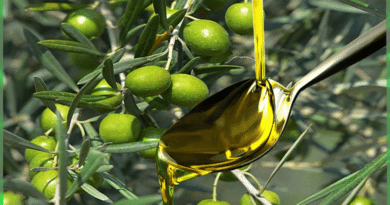 olio extravergine di oliva